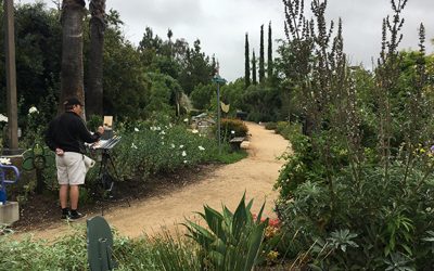 The Water Conservation Garden Remains OPEN